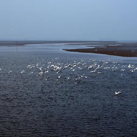 Дом отдыха Wattmoewe Sehestedt (Lower-Saxony)