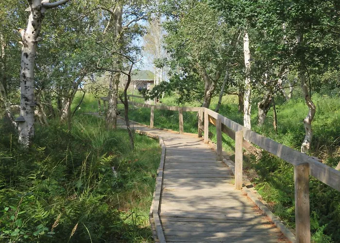 Hébergement de vacances Wattmoewe